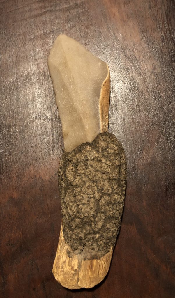 Quartzite knife with old wood and gum grip (Q13) Southern Cross